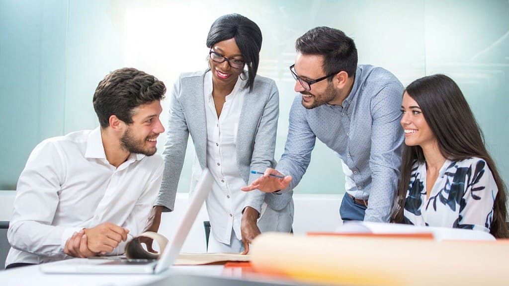 About DDS Consulting